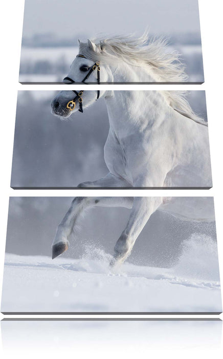 Weißes Pferd auf Schneewiese Leinwandbild 3 Teilig