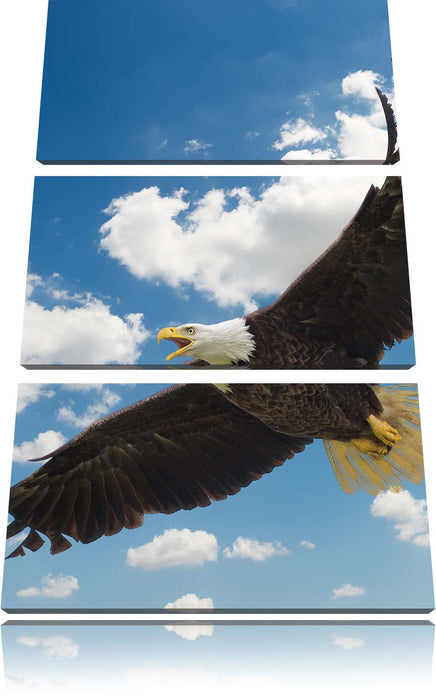 Adler fliegt über Berge Leinwandbild 3 Teilig