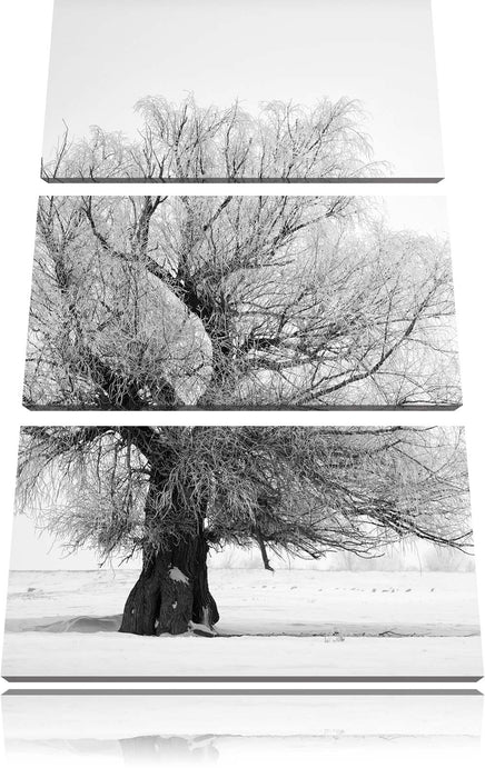 Bäume im Schnee Nebel Leinwandbild 3 Teilig