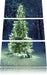 Leuchtender Weihnachtsbaum Leinwandbild 3 Teilig
