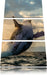 Buckelwale Kanada Leinwandbild 3 Teilig