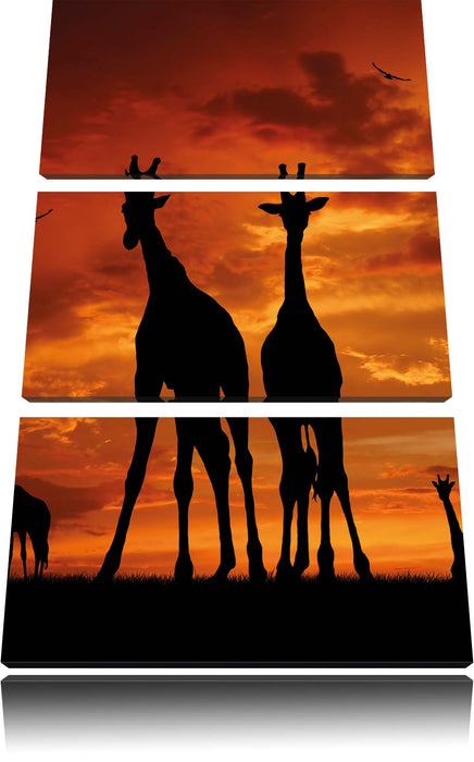 Afrika Giraffen im Sonnenuntergang Leinwandbild 3 Teilig