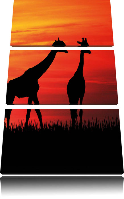 Afrika Giraffen im Sonnenuntergang Leinwandbild 3 Teilig