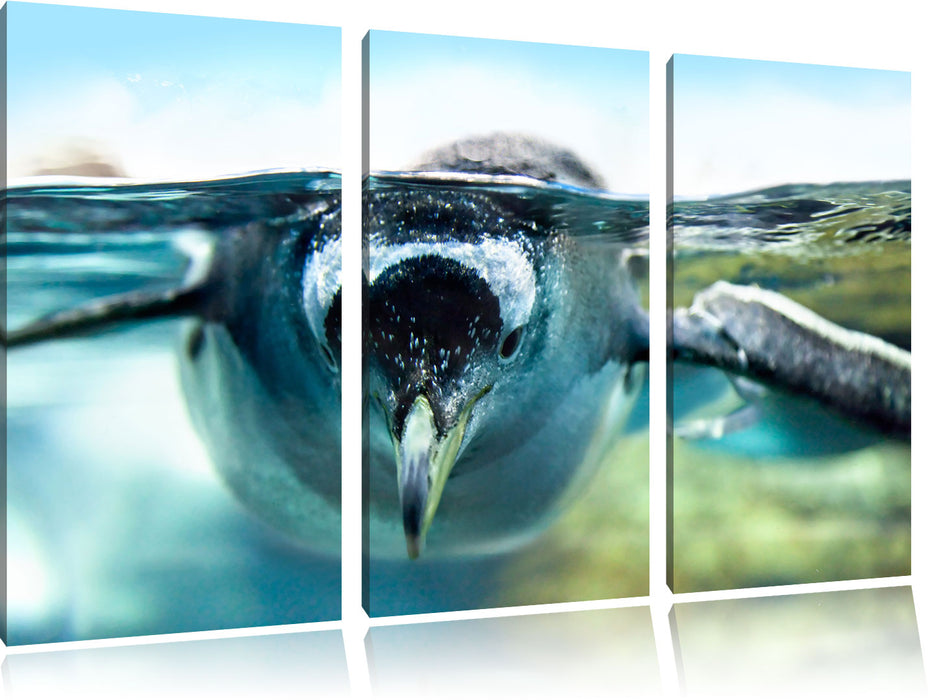 Pinguin im Wasser Leinwandbild 3 Teilig