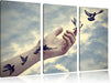 Vögel fliegen in die Freiheit Leinwandbild 3 Teilig