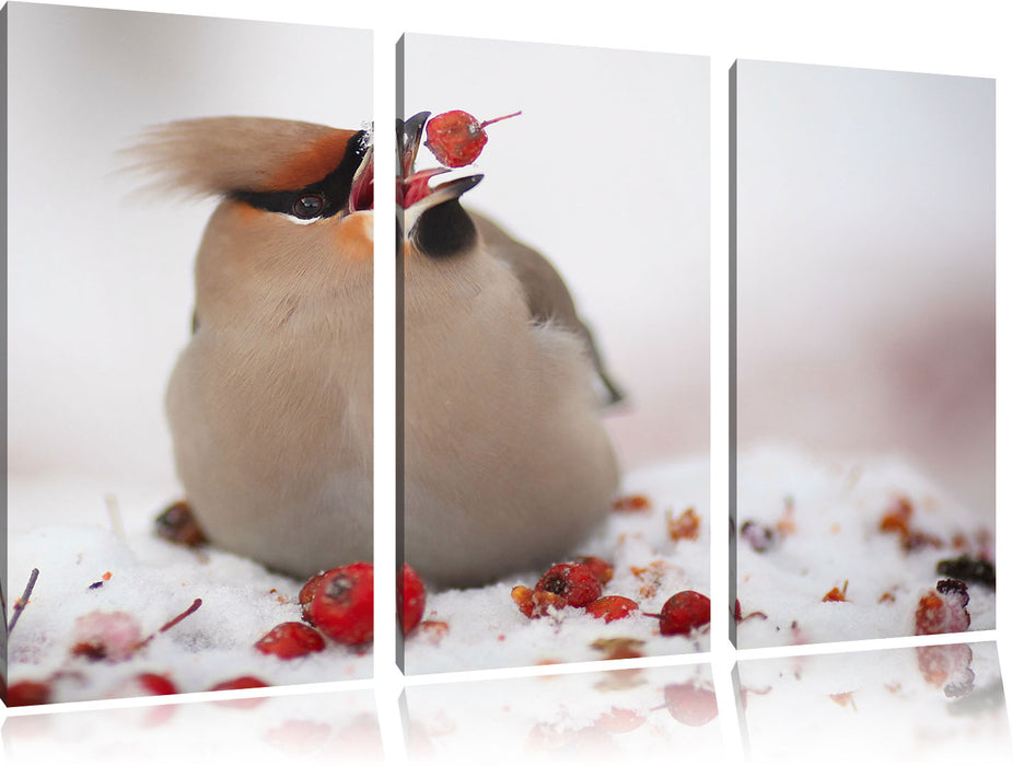 Kleiner Vogel im Schnee Leinwandbild 3 Teilig