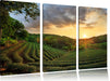 Teeplantage bei Sonnenuntergang Leinwandbild 3 Teilig