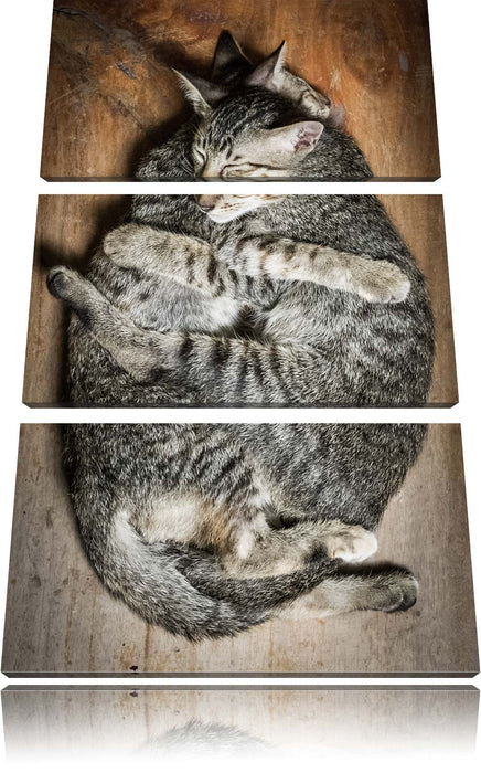 Kuschelnde Katzen Leinwandbild 3 Teilig