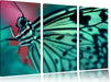 Wunderschöner Schmetterling Leinwandbild 3 Teilig