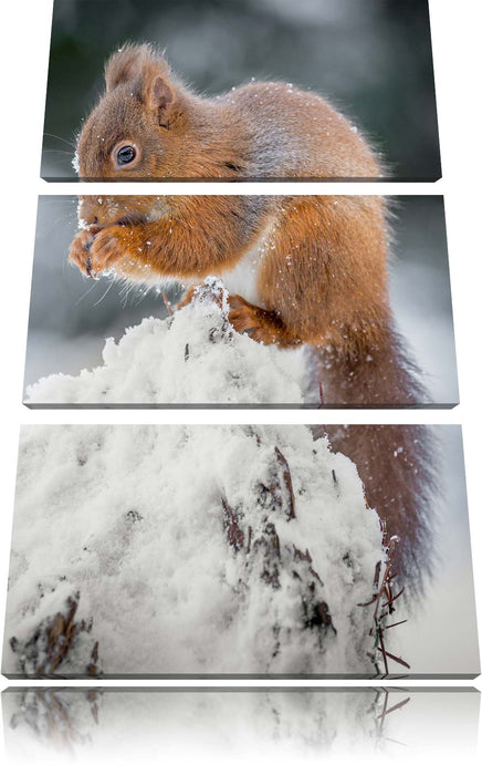 Kleines Eichhörnchen im Winter Leinwandbild 3 Teilig