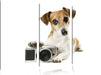 Niedlicher Hundewelpe mit Kamera Leinwandbild 3 Teilig