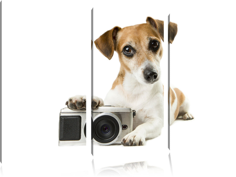 Niedlicher Hundewelpe mit Kamera Leinwandbild 3 Teilig