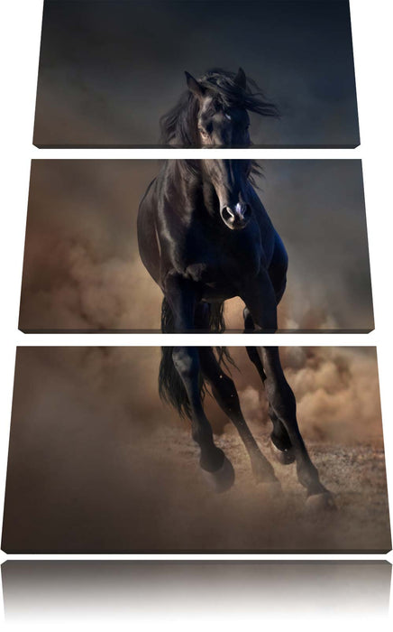 Elegantes schwarzes Pferd Leinwandbild 3 Teilig