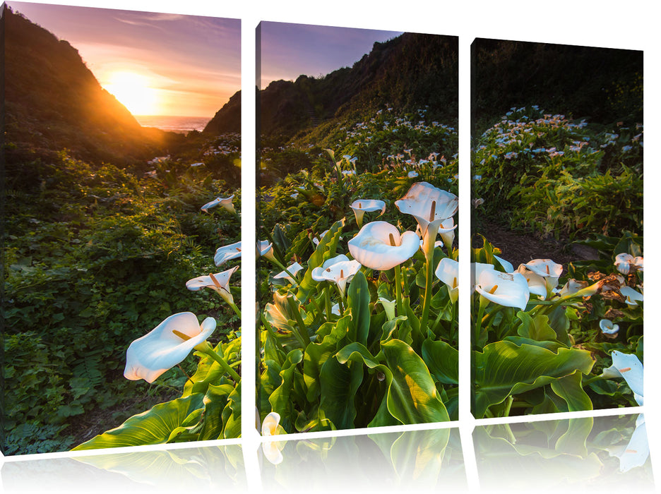 Blumenwiese in den Bergen Leinwandbild 3 Teilig