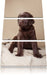 Hundewelpe auf Pullovern Leinwandbild 3 Teilig