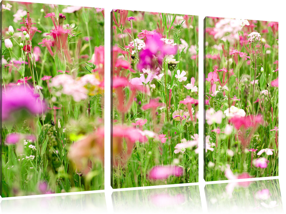 Wundervolle Blumenwiese Leinwandbild 3 Teilig