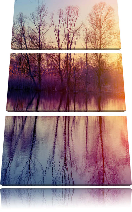 Bäume spiegeln sich im Wasser Leinwandbild 3 Teilig