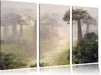 Mysteriöser Wald im Nebel Leinwandbild 3 Teilig