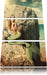 Meerjungfrau hinter Felsen Leinwandbild 3 Teilig