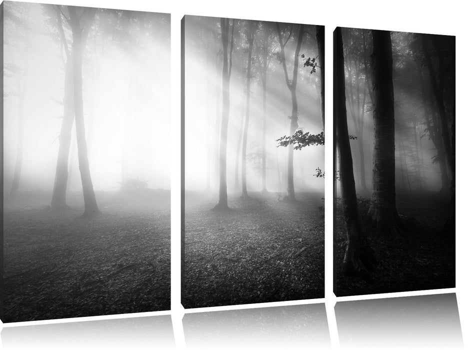 Düsterer Wald im Nebel Leinwandbild 3 Teilig
