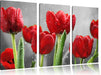 Rote Tulpen mit Tropfen bedeckt Leinwandbild 3 Teilig