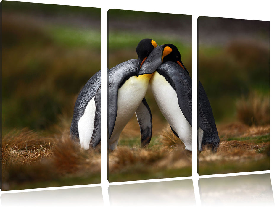 Pinguine in der Antarktis Leinwandbild 3 Teilig