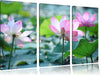 rosa Lotusblüte im Teich Leinwandbild 3 Teilig
