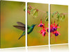 Kolibri trinkt vom Blütennektar Leinwandbild 3 Teilig