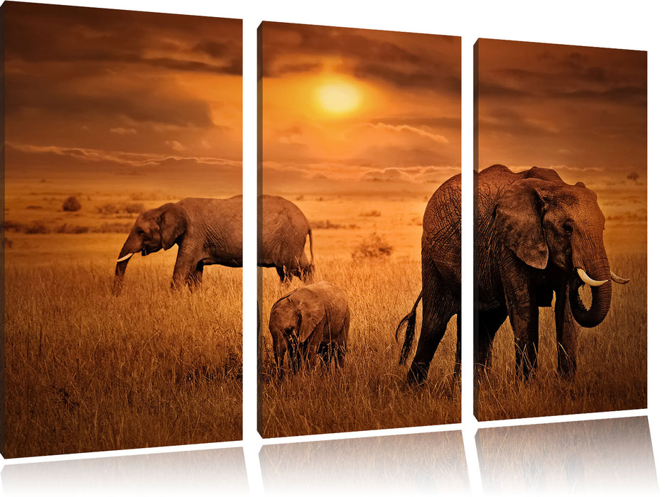 Elefanten in der Savanne Leinwandbild 3 Teilig