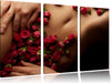 weiblicher Körper mit Rosen Blumen Leinwandbild 3 Teilig