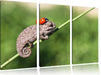 Süßer Gecko mit einem Marienkäfer Leinwandbild 3 Teilig