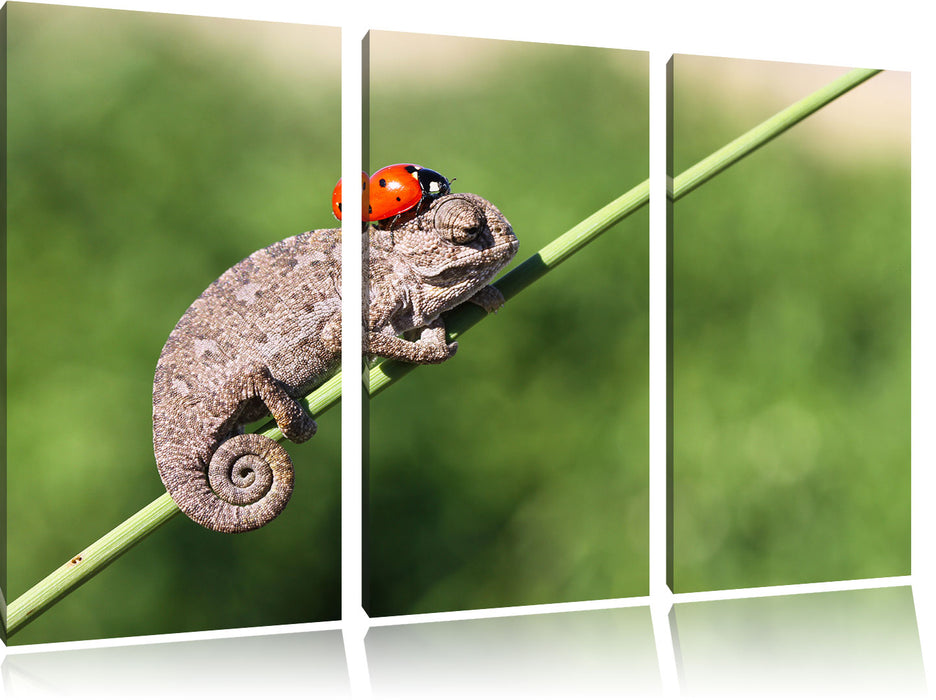 Süßer Gecko mit einem Marienkäfer Leinwandbild 3 Teilig