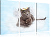 Katzen-Engel auf Wolke Leinwandbild 3 Teilig