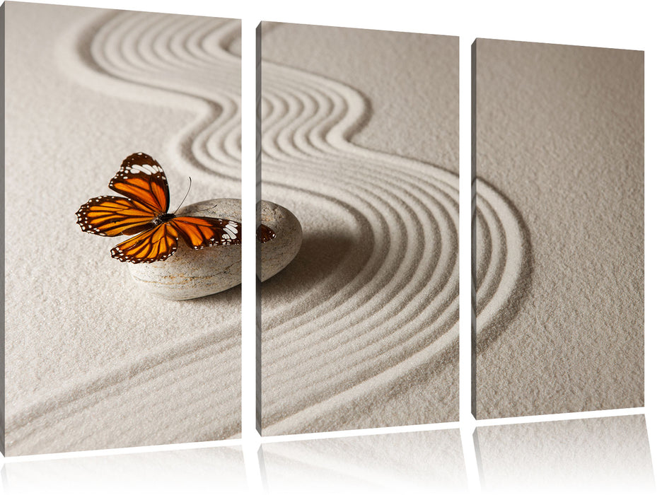 Zen Schmetterling Leinwandbild 3 Teilig