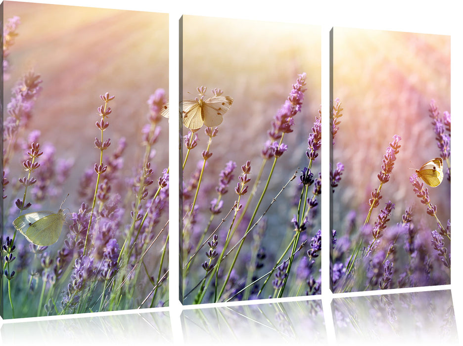 Schmetterlinge auf Lavendelblumen Leinwandbild 3 Teilig