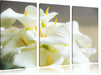 Wunderschöne weiße Calla Lilien Leinwandbild 3 Teilig