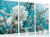 Kirschblüten Leinwandbild 3 Teilig