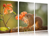 Eichhörnchen riecht an einer Blume Leinwandbild 3 Teilig