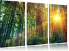 Wald bei Sonnenlicht Leinwandbild 3 Teilig