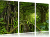 Weg durch den Tropenwald Leinwandbild 3 Teilig