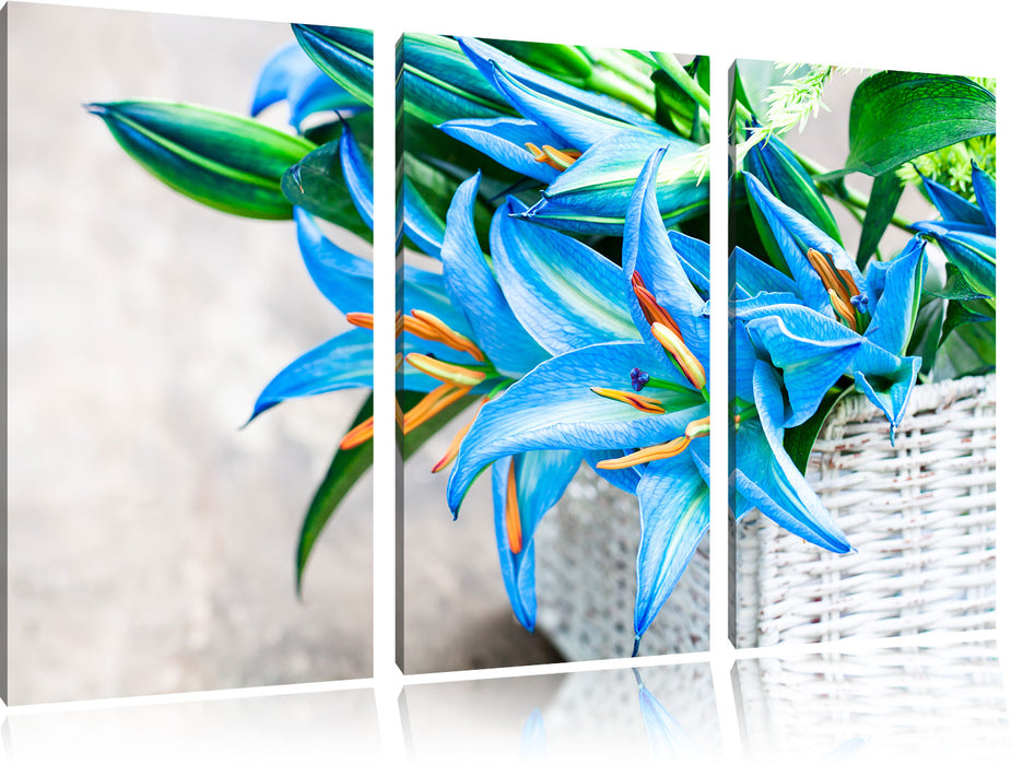 schöne blaue Blumen im Körbchen Leinwandbild 3 Teilig