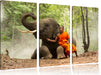 Mönch Elefanten Wald Leinwandbild 3 Teilig