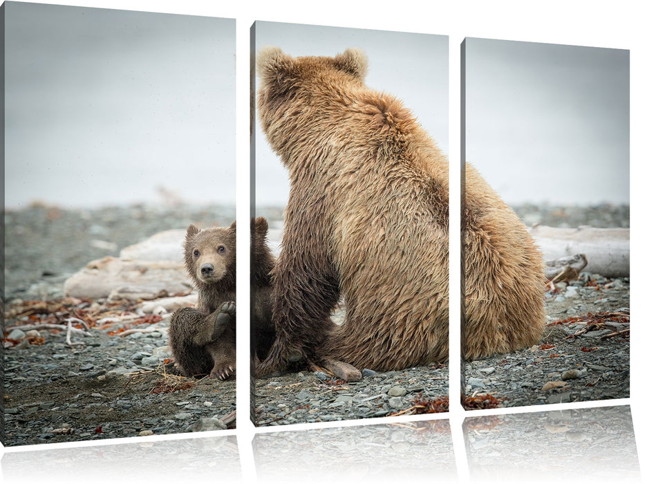 Bär mit Baby nach dem Baden Leinwandbild 3 Teilig