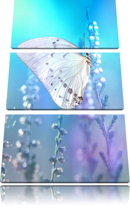 Schmetterling auf Blütenknospen Leinwandbild 3 Teilig