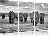 Elefanten Familie in der Savanne Leinwandbild 3 Teilig