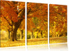 schöne Herbstlandschaft Leinwandbild 3 Teilig