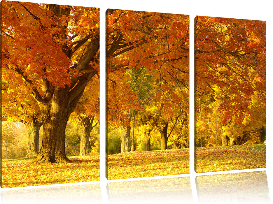 schöne Herbstlandschaft Leinwandbild 3 Teilig