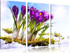 Kunst Frühling flower Hintergrund Leinwandbild 3 Teilig