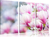 zarte rosa farbende Blüten Leinwandbild 3 Teilig
