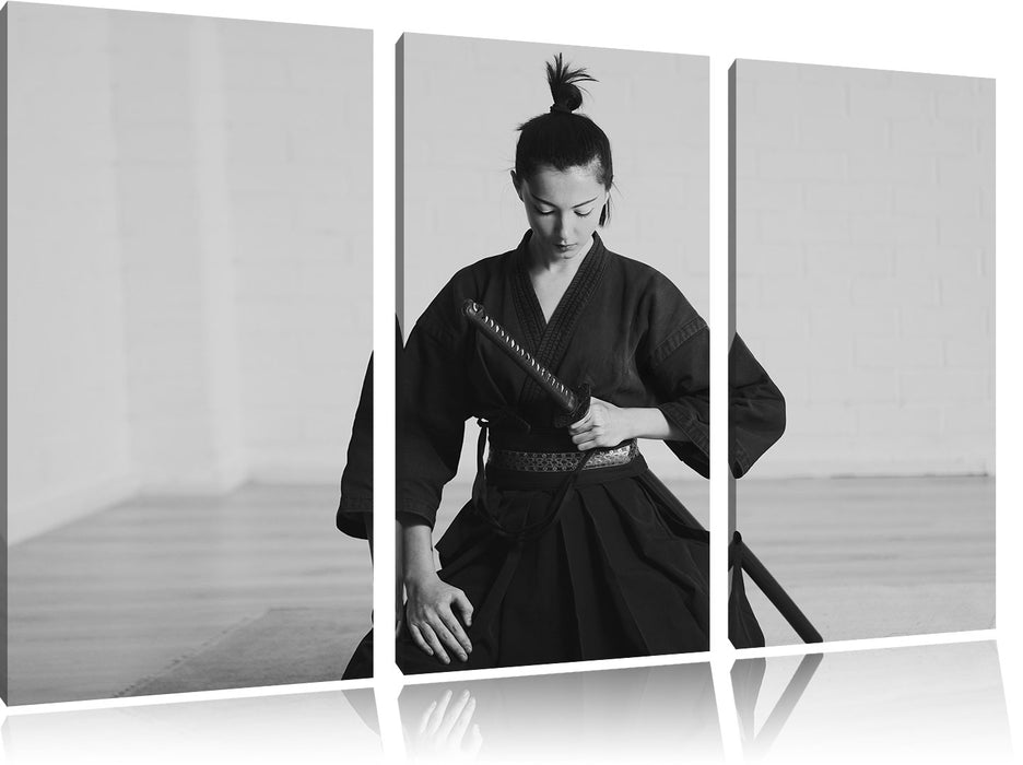 stolze Samurai-Kriegerin Leinwandbild 3 Teilig